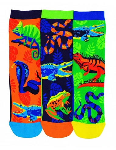 Calcetines REPTILES Set 3 und