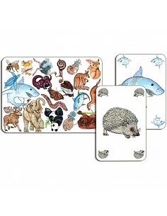 Juego de cartas Zanimatch... 2