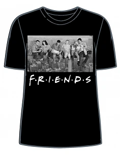 Camiseta Friends Andamio...