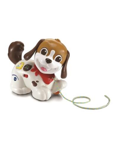 Perrito Infantil Paseo y Aventuras
