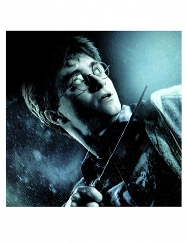 Cuadro Harry Potter