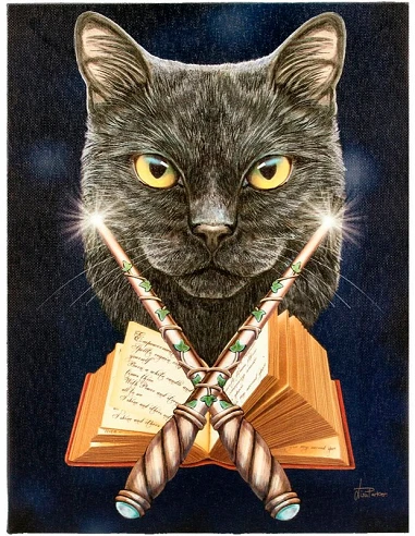 Lienzo Hocus Pocus de Lisa Parker