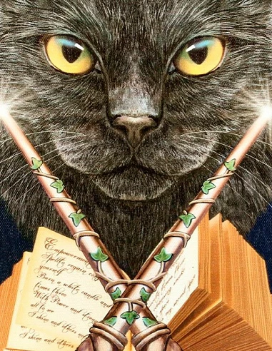 Lienzo Hocus Pocus de Lisa Parker